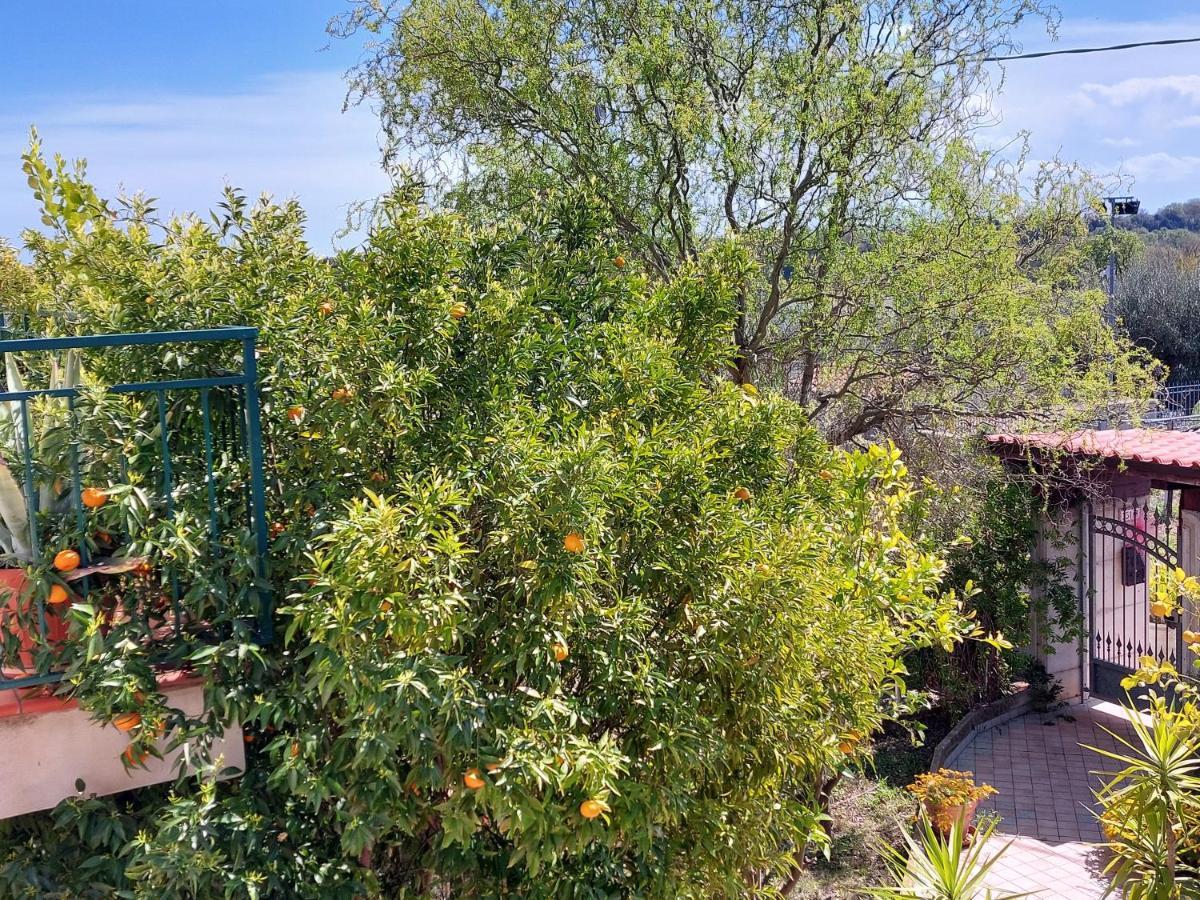 B&B Villa Mia Lanciano Eksteriør billede