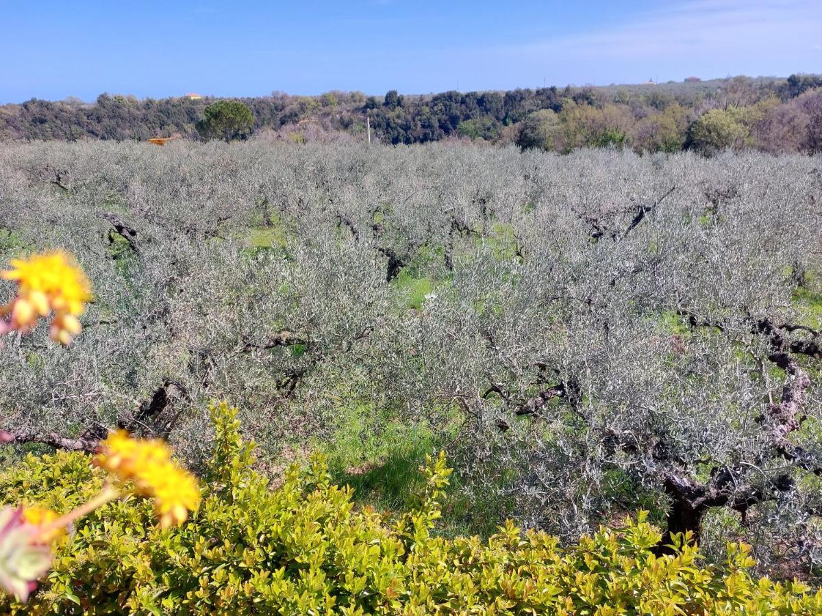 B&B Villa Mia Lanciano Eksteriør billede